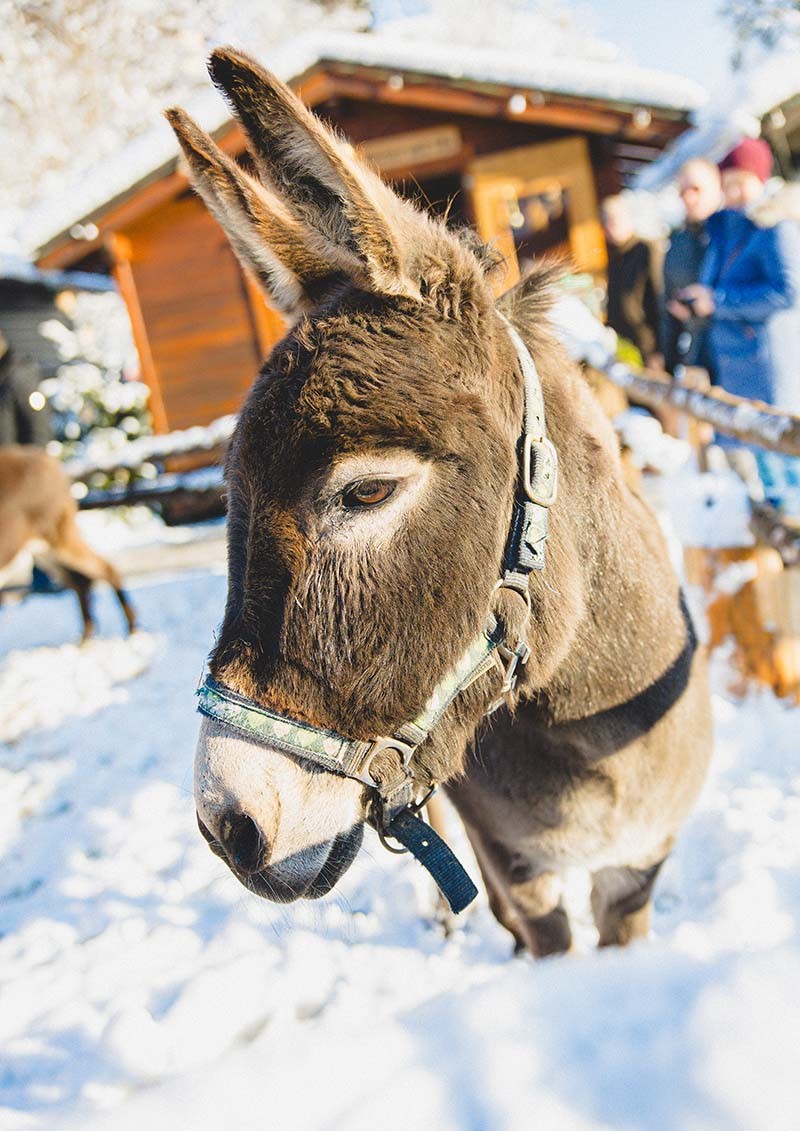 Advent St. Leonhard