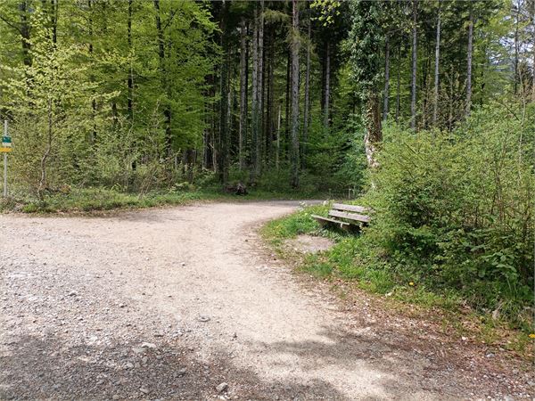 Gabelung zur Hubertuskapelle