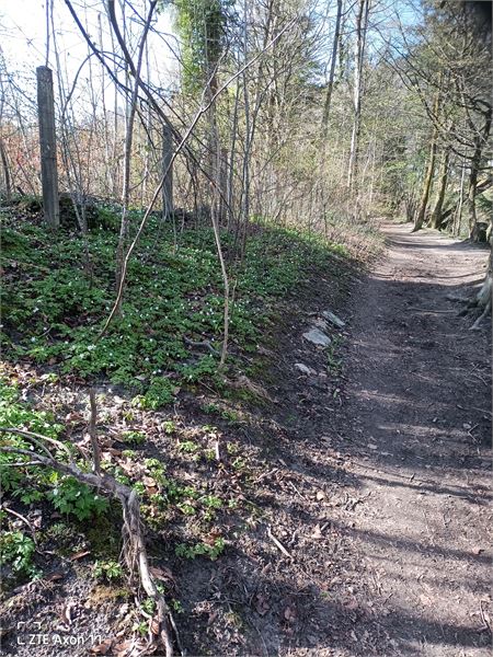 Start nach der Leubebrücke