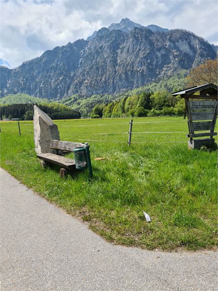 Retourweg entlang der Strasse