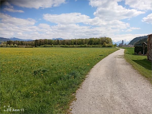 Feldweg nach der Feuerwehr